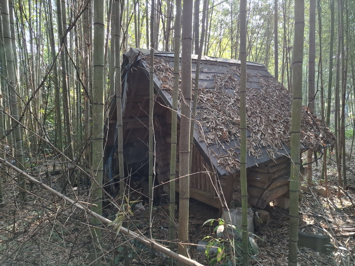 誰も住まなくなった日本の木造一戸建て住宅の外観　相続した実家を空き家のまま放置している状態のイメージ