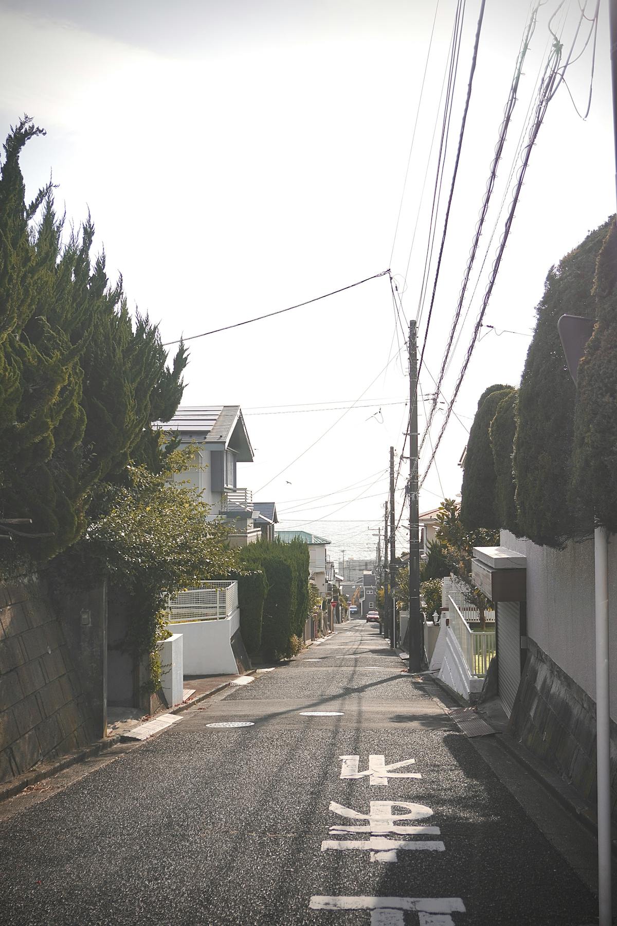 堺市の閑静な住宅街。一戸建てが並ぶ典型的な住宅地の風景