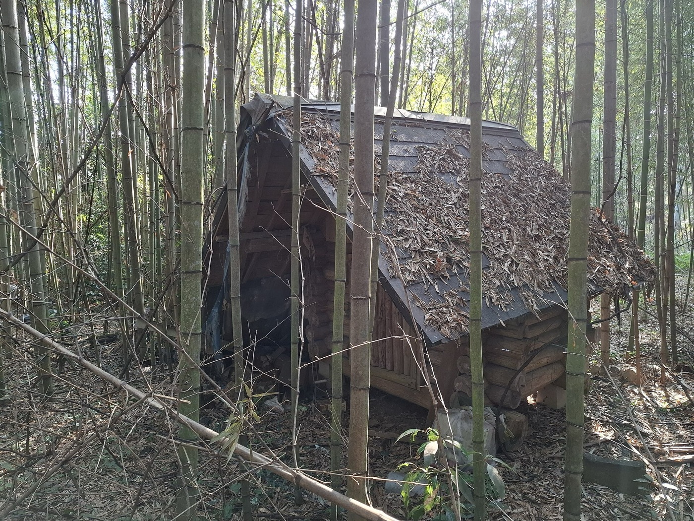長年放置された日本の木造空き家。訳あり物件の査定チェックでは売主が知らない不具合の扱いを確認する